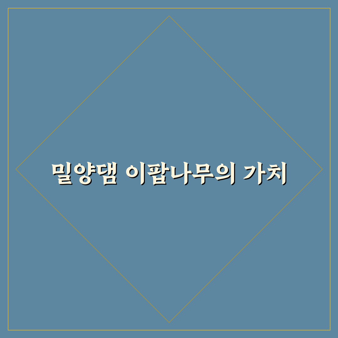 밀양댐 이팝나무 길 방문 꿀팁과 산책 후기