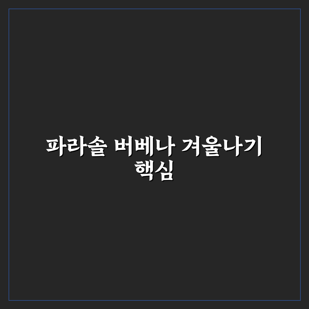 파라솔 버베나 노지월동 방법과 꿀팁 알려드려요