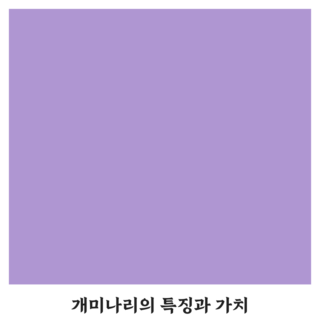 개미나리 효능과 활용법 쉽게 알려드려요
